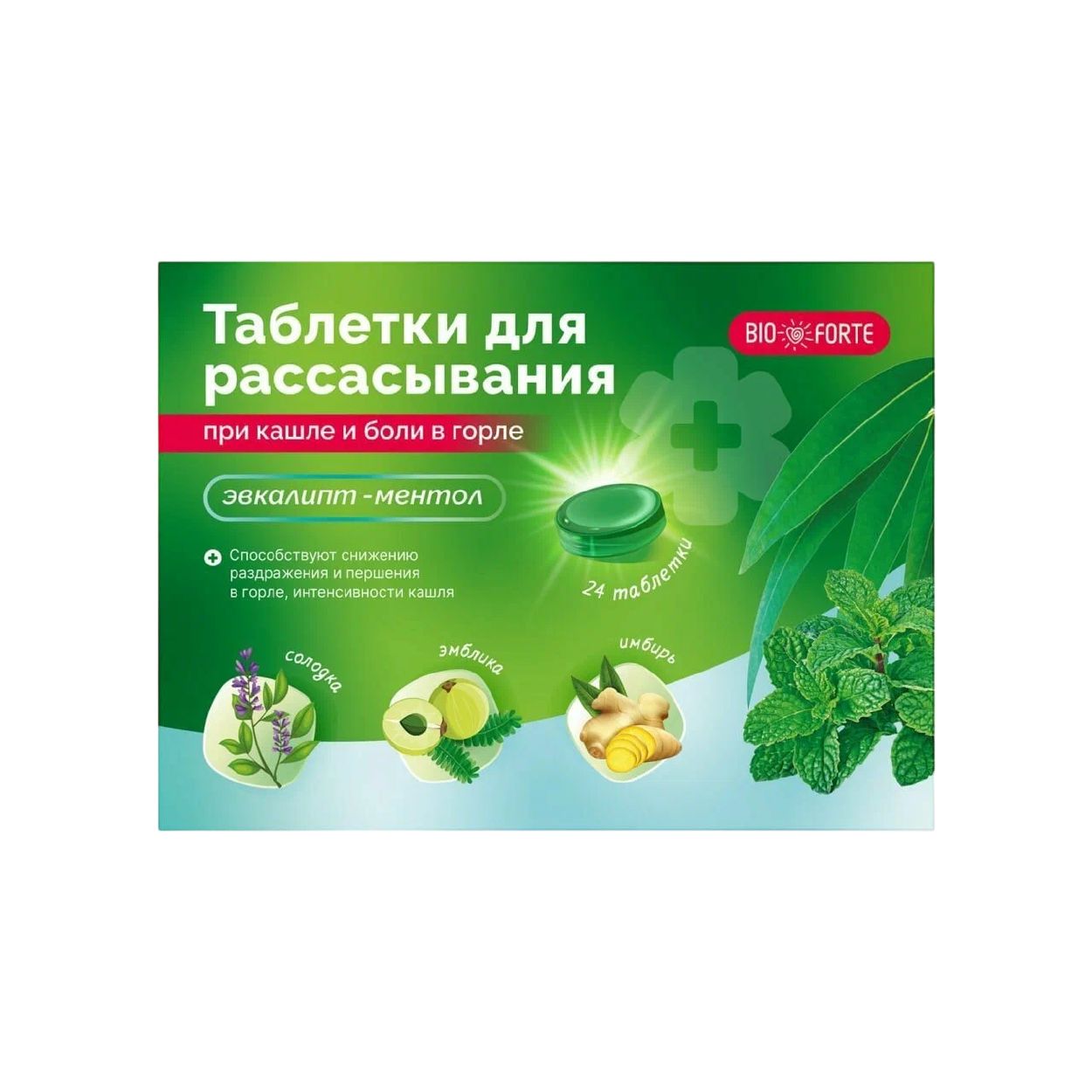 ТАБЛЕТКИ ПРИ КАШЛЕ И БОЛИ В ГОРЛЕ БИОФОРТЕ Д/РАССАС ЭВКАЛИПТ/МЕНТОЛ №24